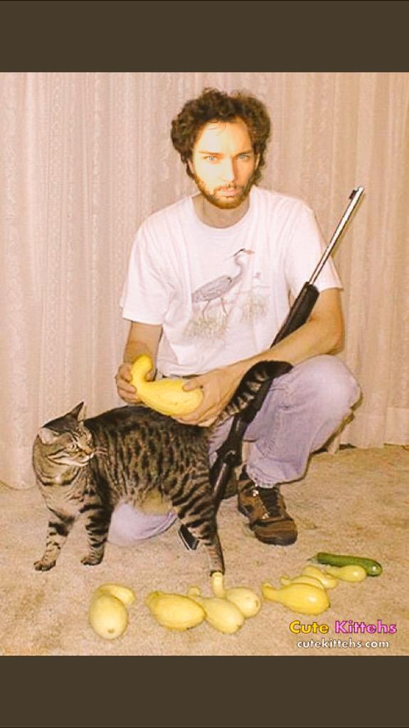 QQueisser's tweet image. @BMS_BillysCats