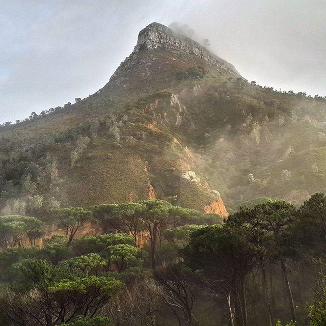 HashtagCapeTown's tweet photo. "Lions Head on a cold, misty morning." ... https://t.co/L5Qs9RhZIT
IG:connsnature http://t.co/9tgdTWyUSU