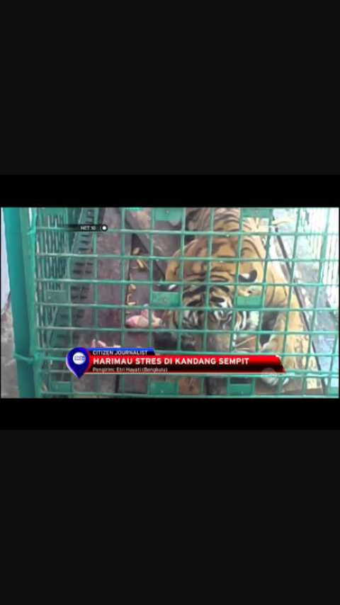 Eh_mellisaaa's tweet photo. Tolong dia dan binatang bernasib malang lainnya ,pleaseee...@WWF @WWF_ID @WWF_Australia @jokowi http://t.co/lRgdZlQGgy
