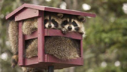 tinyrosette's tweet image. 因为个人原因所以最近可能不怎么能上TWITTER了，请大家一如既往地支持 #intheflesh ！！我会时不时地回来看看的……