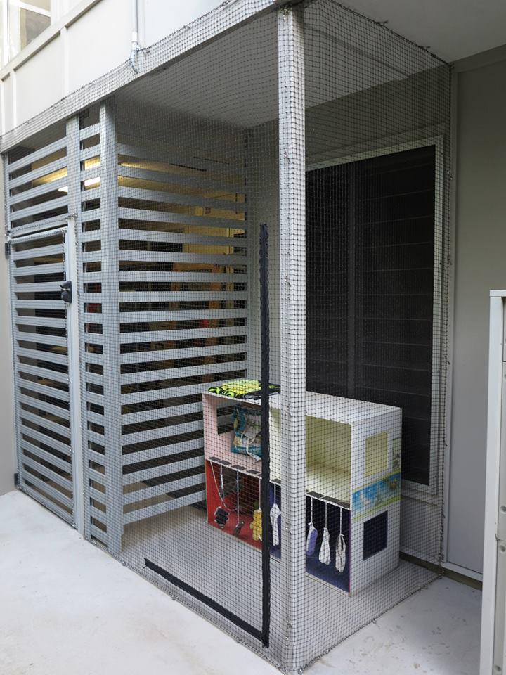 cat_nets's tweet photo. Awesome cat enclosure by Happy Cat Enclosures @Auscatruns #Catnets #CatEnclosures http://t.co/MqCkwm5evm