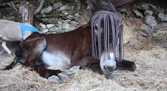 bretjet's tweet image. 