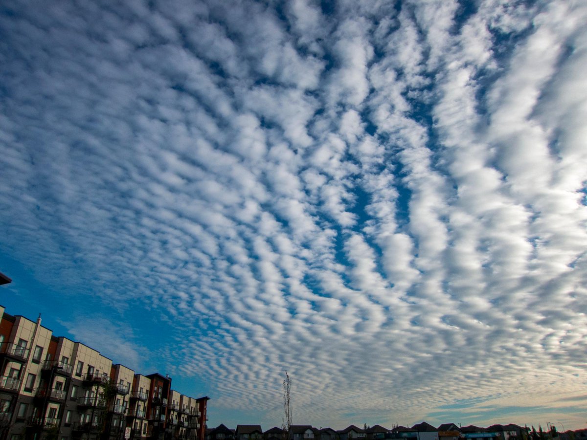 GarciaAlbertoP's tweet photo. Cirrostratus Cloud in Edmonton #yeggers #edmontourism http://t.co/LVpsm9Ez7a