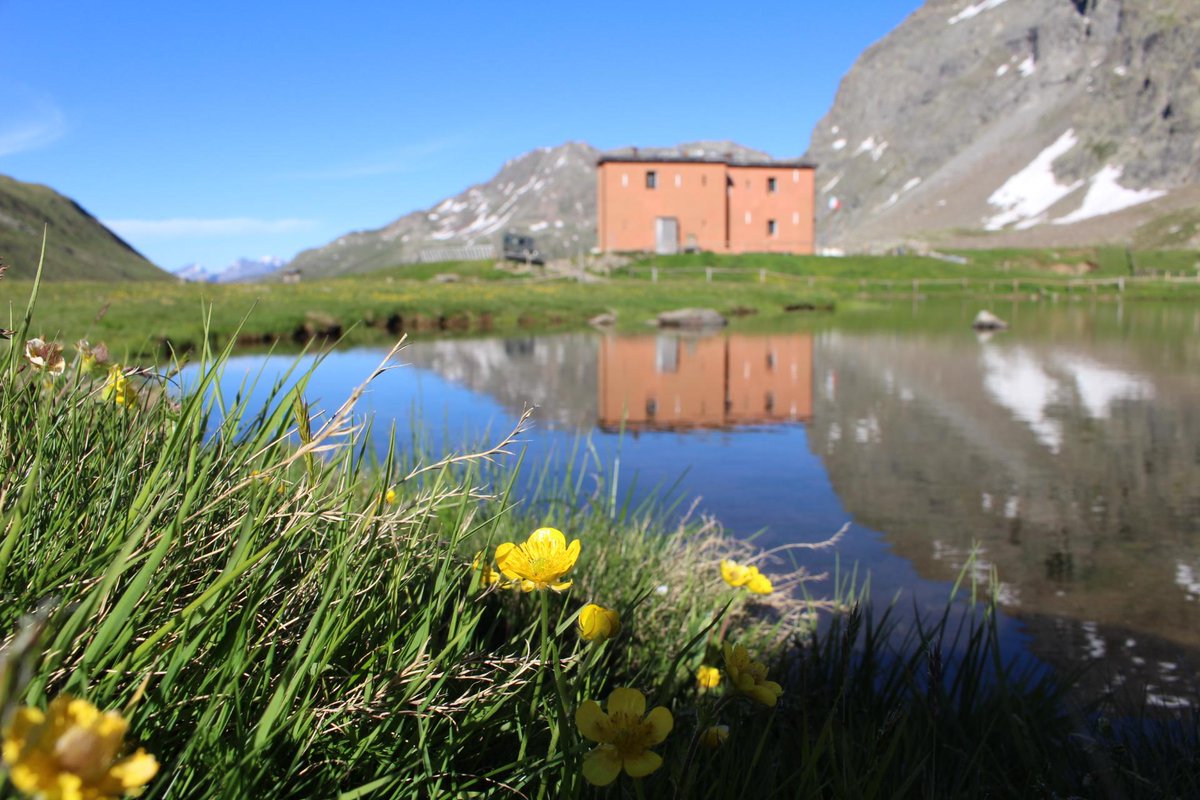 RifugioViola tweet media