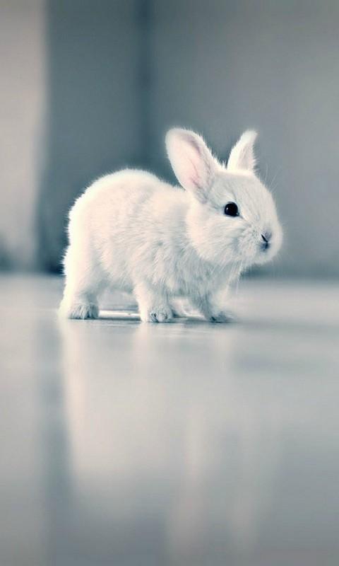 DoubekOliver's tweet photo. Není to bobek http://t.co/0AdsGjiZcu