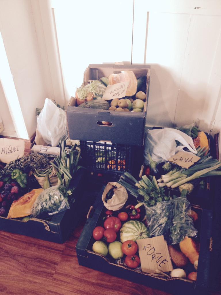 preparando pedidos a domicilio para Las Palmas desde los huertos de Moya