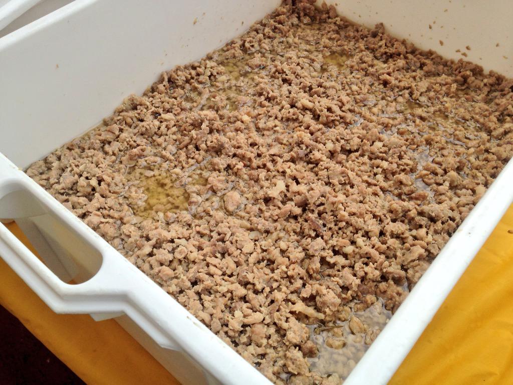 RaiExpo's tweet photo. 100kg Vialone nano 80kg Tastasal (vitello/maiale) x 1000 piatti di risotto alla veronese offerte da Coldiretti a expo http://t.co/jb6SOR6dLK