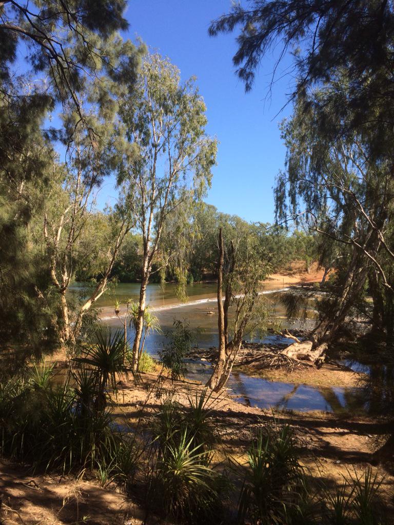 MickyMurdoch's tweet photo. Best quiet shady spot for miles.... #RoperBar Crossing #NT #TopEnd http://t.co/4m3etIomp8