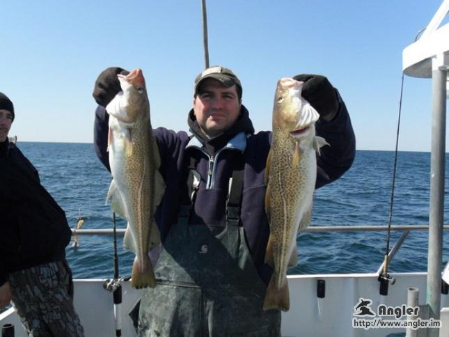 solotcom's tweet image. Catching the Atlantic Cod. For more details, please visit Angler official website: angler.im/news/2mf7NsCfX…