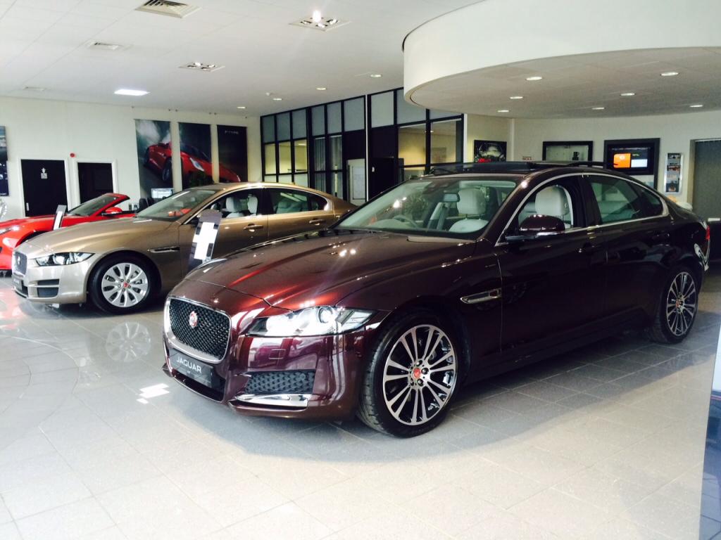 MMGContractHire's tweet image. The #NewXF is taking pride of place in our Lincoln showroom. Come in and see it! @JaguarUKPR @JaguarUK