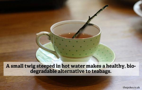 ThePoke's tweet photo. #recap 7 organic, all natural tips for an eco-friendly lifestyle

http://t.co/SkW0c43b51 http://t.co/uPJCb7kQqP