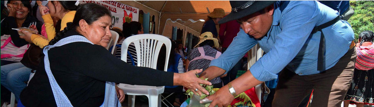 VICENews's tweet photo. How Bolivia got smart and convinced poor farmers to grow less coca: http://t.co/znhc4uJrF4 http://t.co/SXdrYkgEbE