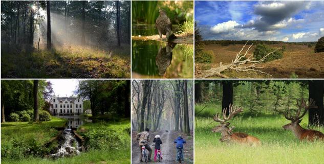 Een ode aan onze winnaars van de Foto van de Maand competitie! #WorldPhotoDay Ook meedoen? bit.ly/1USUTNH