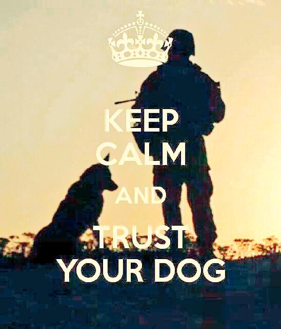 Durham Regional Police Service K-9 Unit tweet media