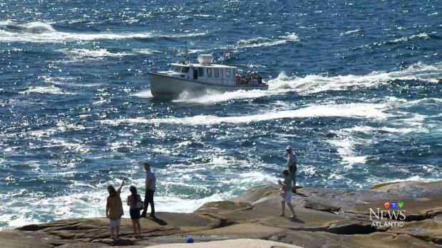 ‘The morons of Peggys Cove’ Twitter account gaining momentum bit.ly/1J3fMjX