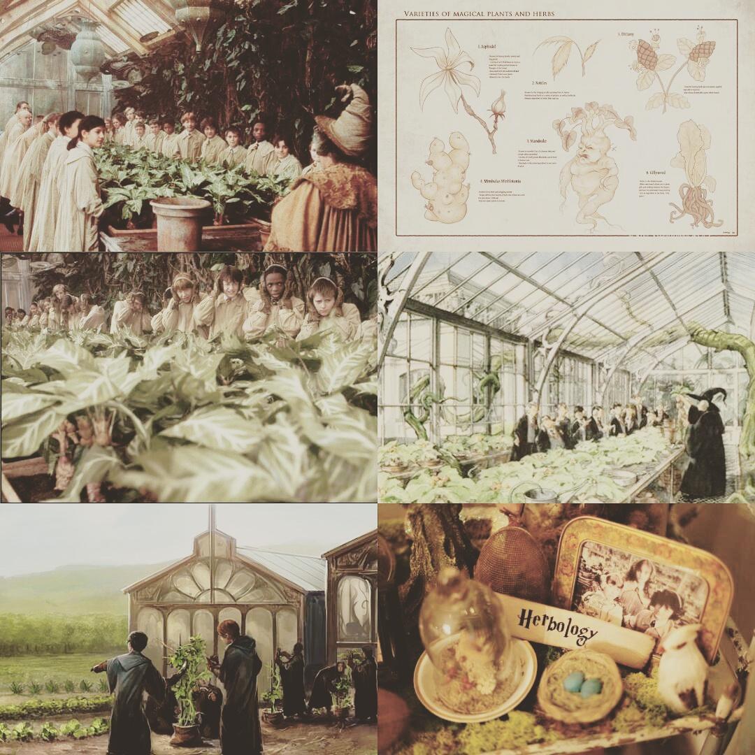 Hogwarts herbology class Herbology, Herbology class, Hogwarts