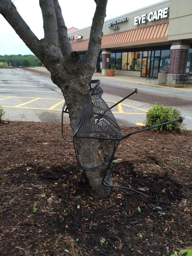 View image on Twitter View image on Twitter