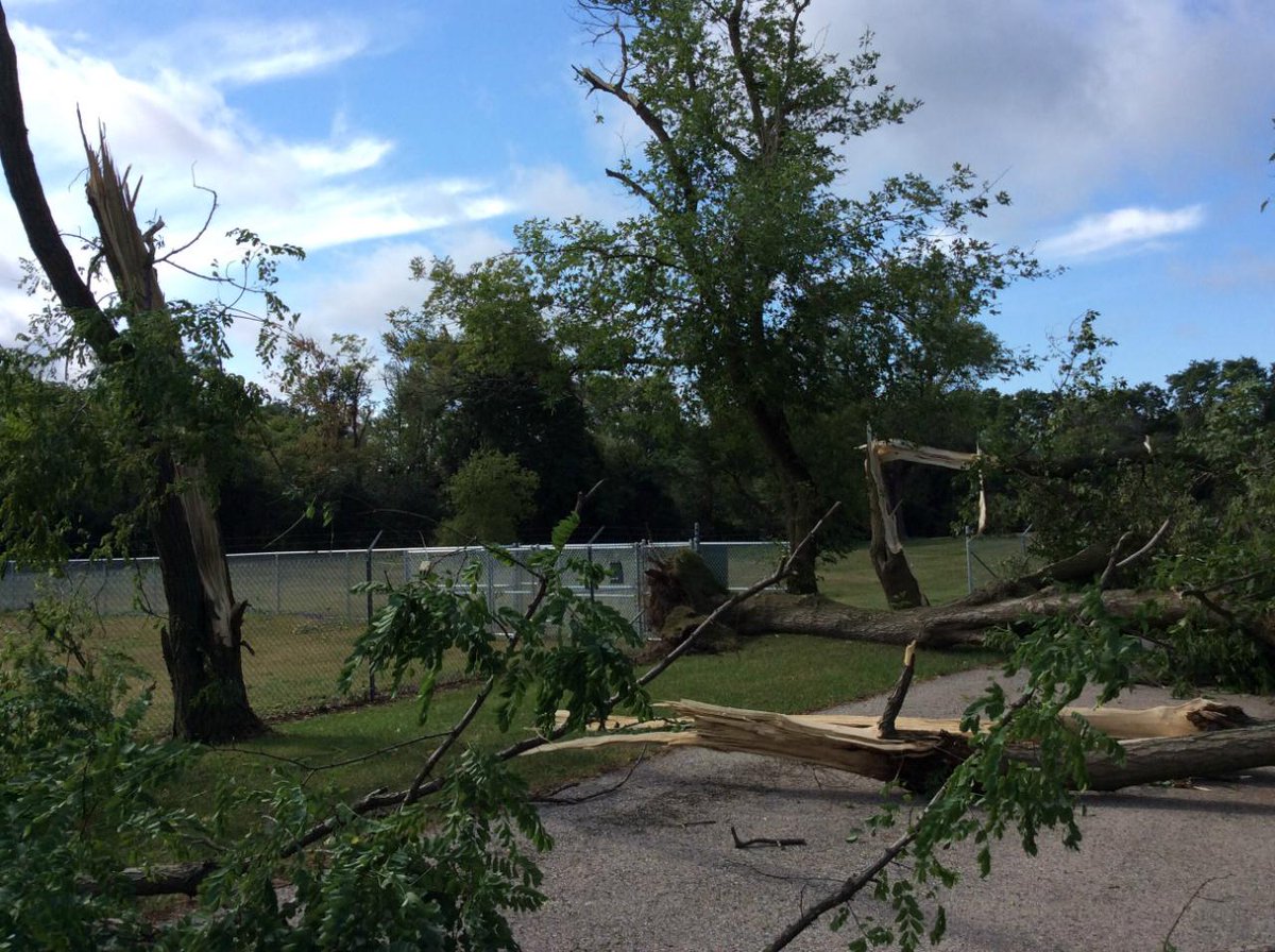 EF1 tornado confirmed in Lake Geneva. More tree damage photos swiwx