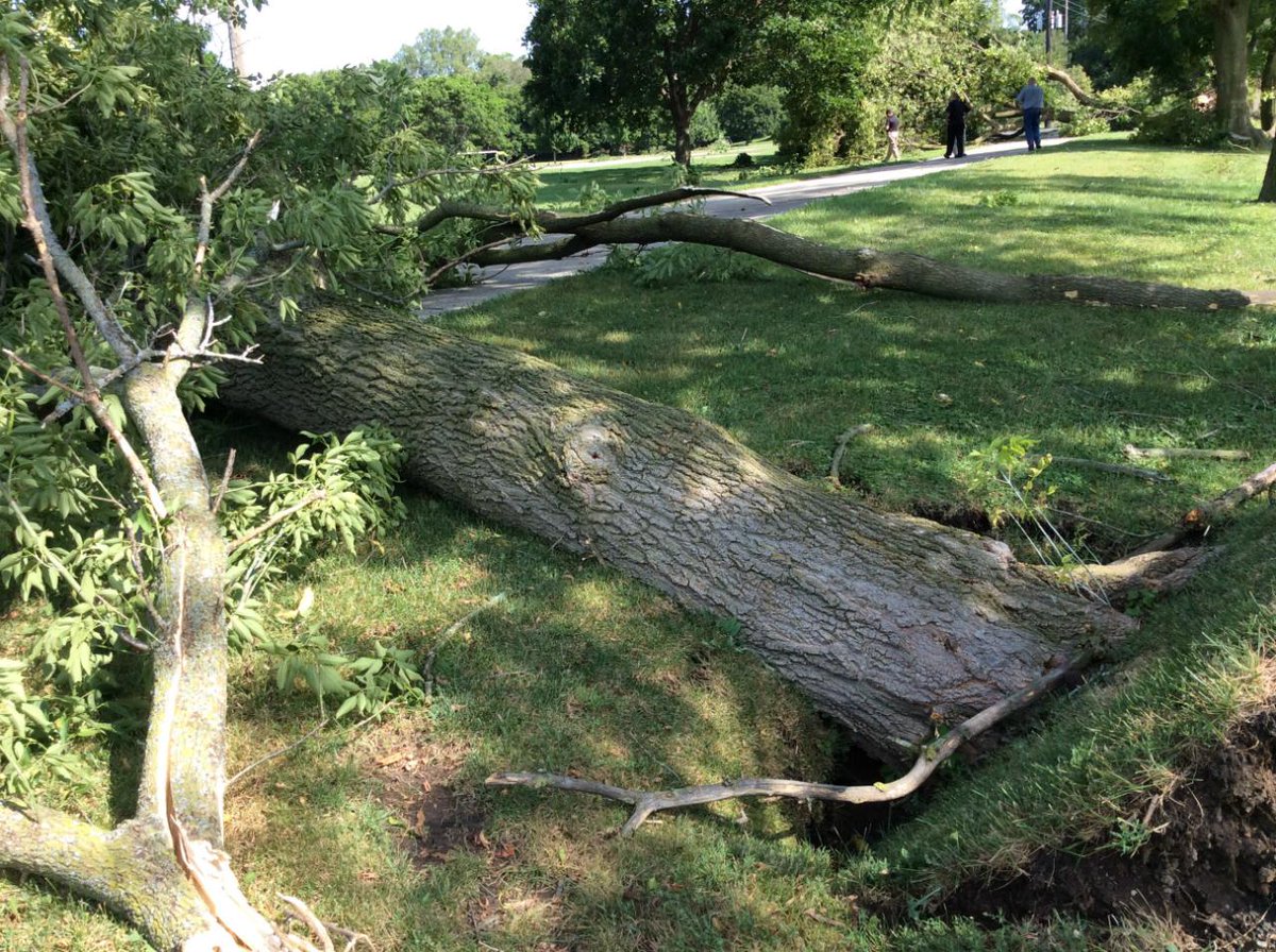 EF1 tornado confirmed in Lake Geneva. More tree damage photos swiwx