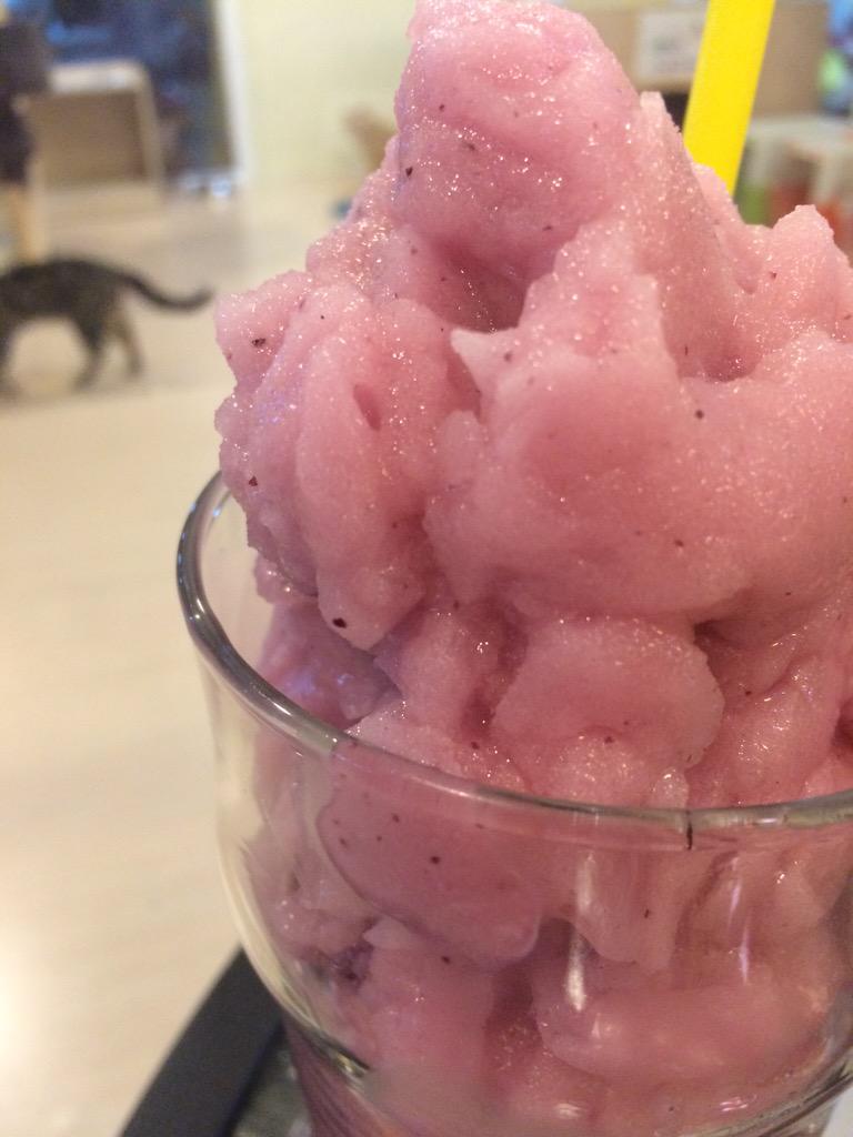Karamaki_Jung's tweet photo. คาเฟ่แมวเหมียว น่ารักฝุดๆ บานอฟฟี่อร่อยมาก #อร่อยไปเเดก #อร่อยนะรู้ยัง #infinitycatcafe #มหาชัย http://t.co/xbJTqD3gaw