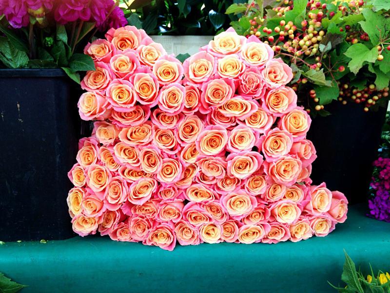 julieneis's tweet photo. Paris market roses http://t.co/rxgB69oLPn http://t.co/FhgYXHfL0N