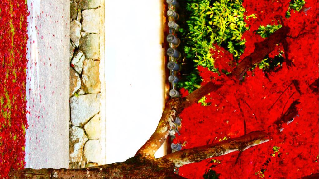 ___TMrp's tweet photo. ⊿

この世界で愛せないのなら

歪んだ世界を紅く染めるから

， https://t.co/utunL3suYk