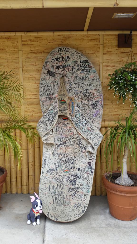 campreadsmore's tweet image. .@shaq,@NACPschool&apos;s #librarymascot thinks she found ur flip flop @shaq. Please come #dreamBIG w/ us. #rainbowsandals