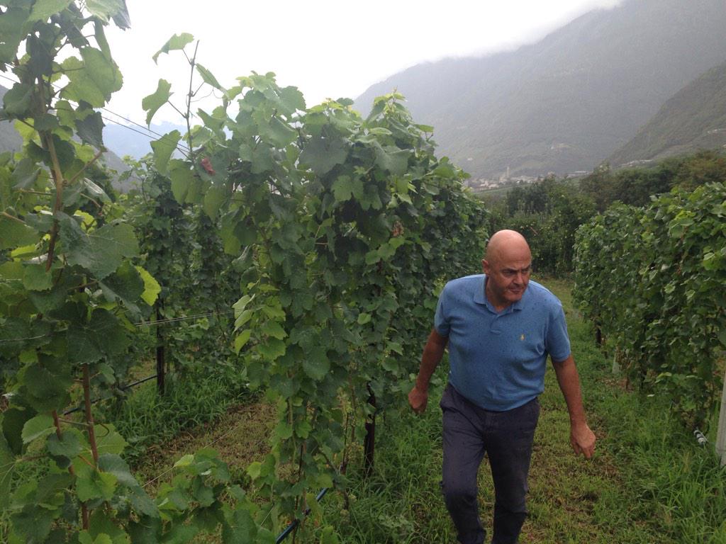 d_castagno's tweet photo. @OBBI62 @bendellavedova vigneto #piazzun #bollicine valtellinesi @terraesapores @AzAgrIlCalamaio @marilenabarbera http://t.co/OMA15KUUPb