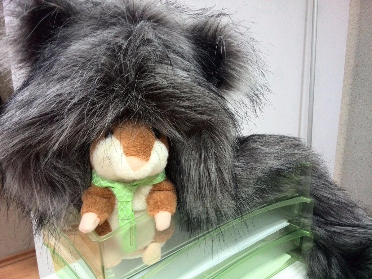 ФК Старт-Инвест tweet media