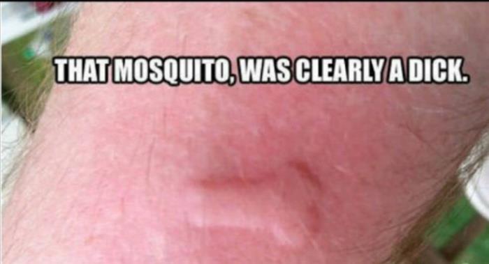 Men's Humor tweet media