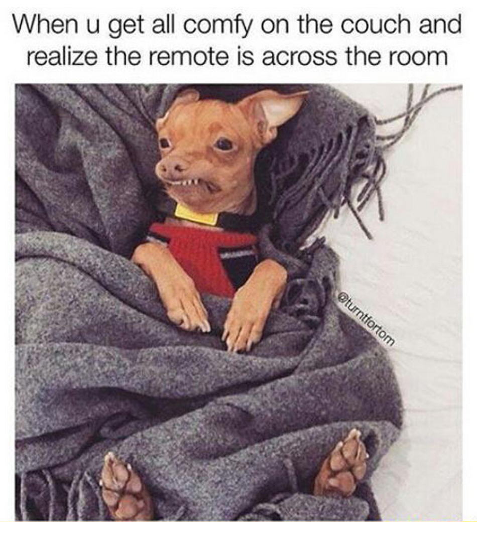 MensHumor's tweet photo. The struggle is real http://t.co/PJ9LaTsQ42