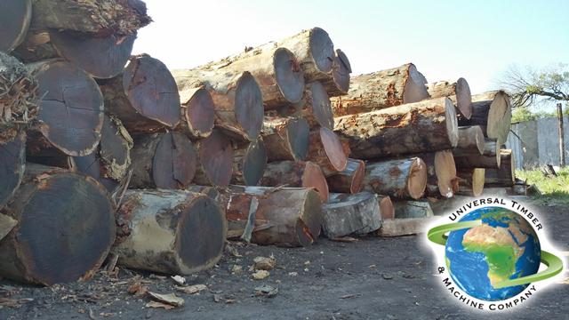 Like we mentioned last week Friday Interlinks has started to deliver log and there is more to come.....many more.