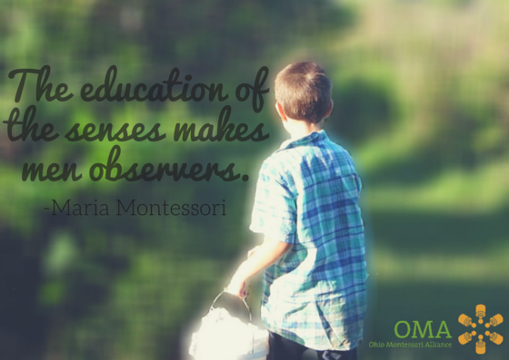 O.M.A. (@ohiomontessori) on Twitter photo 