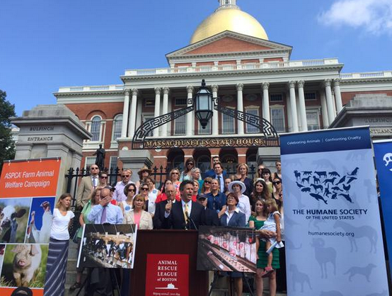 Game on. Coalition launches ballot measure taking on factory farm cruelty. #StopCrueltyMA. humanesociety.org/news/press_rel…