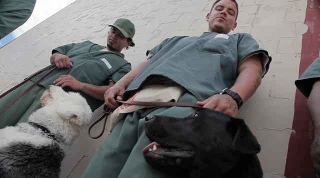 savingcastaways's tweet photo. Couple of handlers training their latest dogs.  A trainer is gonna train! Who is helping who? @SavingCastaways http://t.co/0uAwLZUOxT