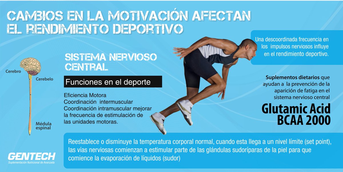 gentecharg's tweet photo. #SistemaNervioso #Eficiencia #Coordinacion #GlutamicAcid #Bcaa2000 #Gentech http://t.co/fBSO6qDhBM
