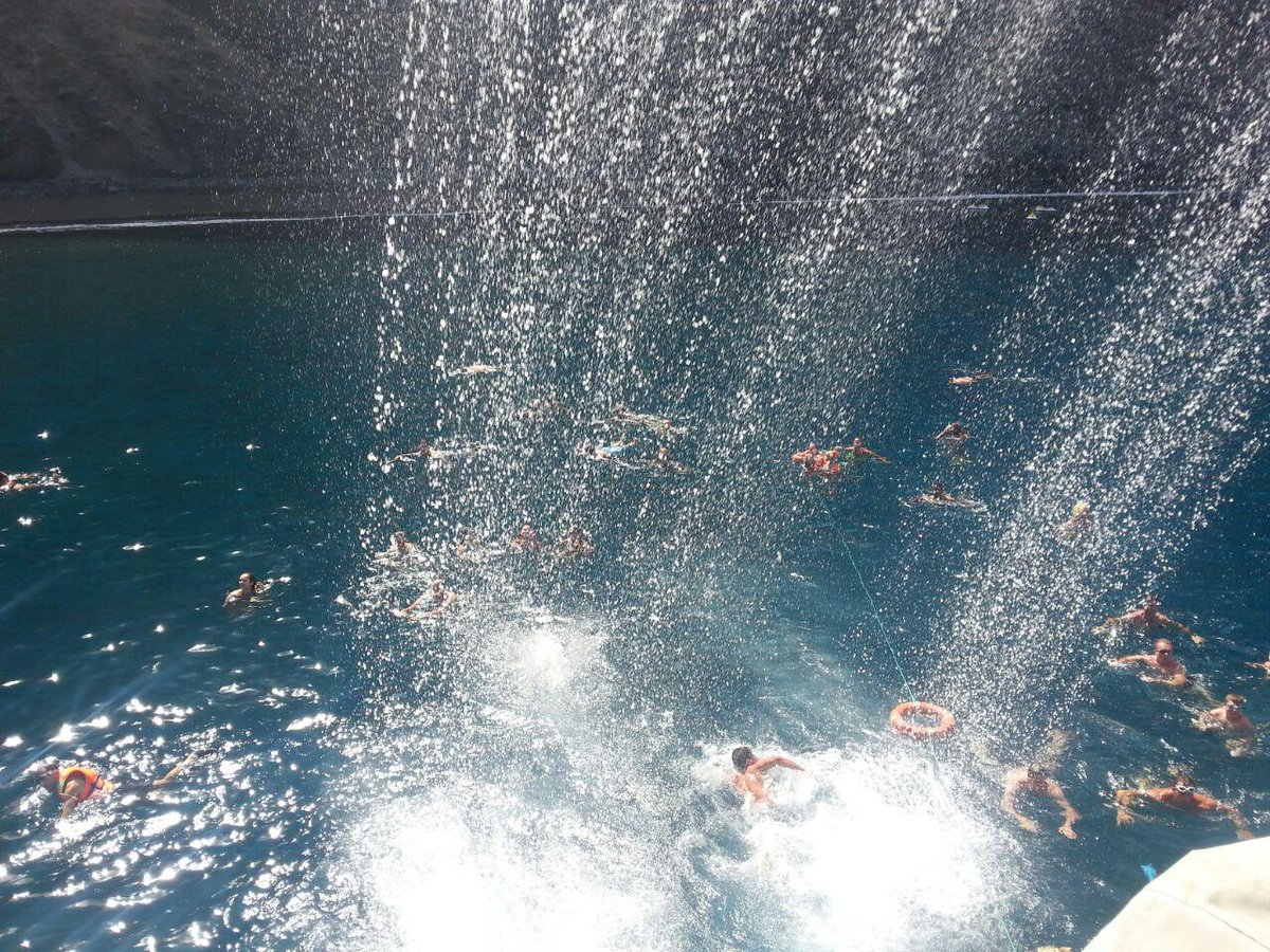 tenerifedolphin's tweet photo. http://t.co/UTnxaTyx7R