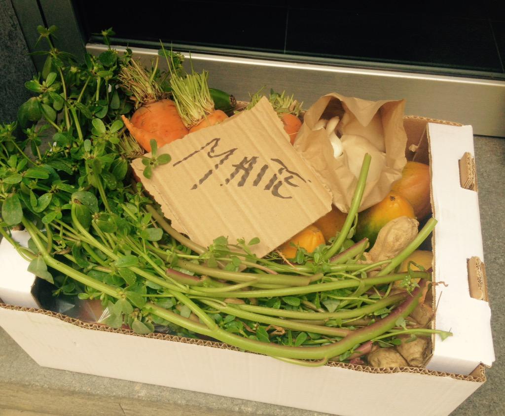 cinco de la tarde , entregando nuestro último pedido personalizado en las palmas