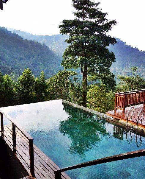 enciktravel's tweet photo. The Shorea di Pantai, Negeri Sembilan.

Kalau rasa nak tenangkan diri sambil sedut udara nyaman, datanglah sini. http://t.co/c5821ijFNe