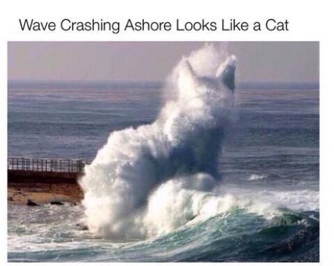 YolandaGlezM's tweet photo. @Hilary_Farr Nature is truly amazing! #cloudT-rex #wavecat! 😊Happy Wednesday! xoxo 🌹 http://t.co/NntePD0pR6