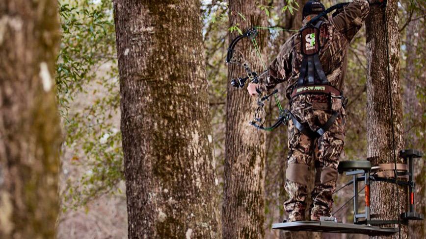 Summit Treestands tweet media
