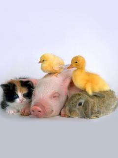 dhanushadam's tweet photo. Hlo..good..nit...frnds.... http://t.co/b7hUEPh533