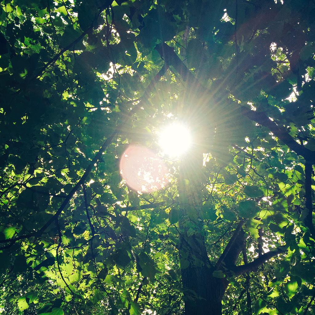 kalbarteski's tweet image. Beautiful day to do some good.