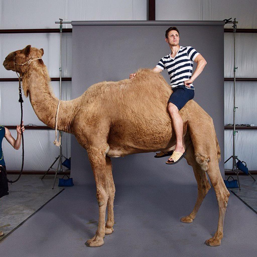 malibusandals's tweet photo. Regram @randalford sporting Malibu Sandals atop this gorgeous camel! | #HappyHumpDay 🐪 #menswear #style http://t.co/wmLfEUOOtk