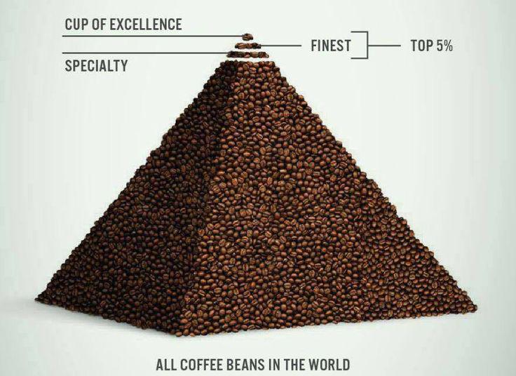#cupofexcellence #scaeturkey #barista #kahve #tarımının #en #prestijli #ödülü kahve-lekesi.com/#!Cup-of-Excel…