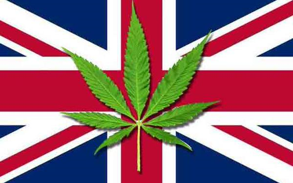 spanx08's tweet image. #International News-UK: Members of Parliament Suggest Pot Use Is a Human Right bit.ly/1Ll6Wl3 @HIGH_TIMES_Mag