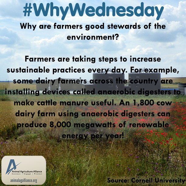 animalag's tweet photo. Farmers care about their animals &amp; the #environment. They take steps to increase #sustainable practices every day. http://t.co/PncsiMbWHb