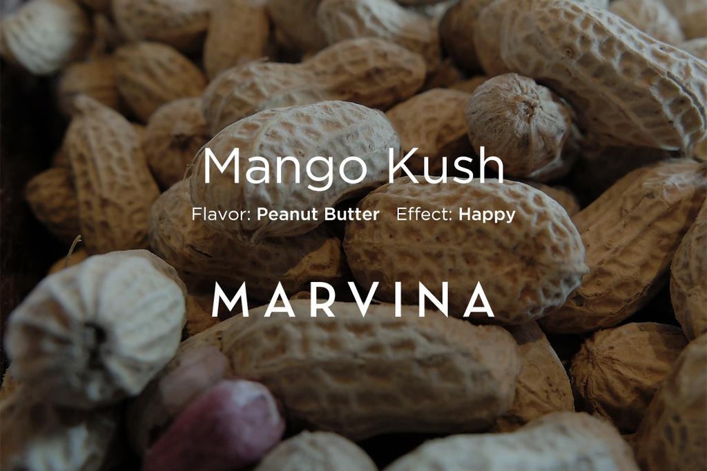 GoMarvina's tweet photo. Mango Kush "On the tongue this strain has a deeply rich peanut butter taste. Not what you expect given its name." http://t.co/seacAnLC0g