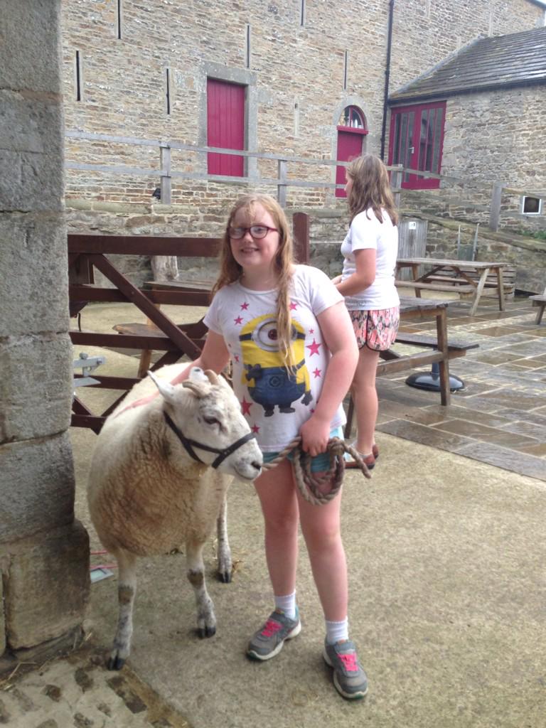wensleydale_exp's tweet image. Still time to book on our animal day tomorrow. Meet our new piglets, groom the pony and much more! #Wensleydale
