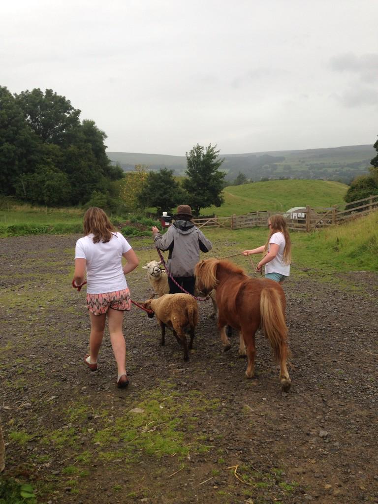 wensleydale_exp's tweet image. Still time to book on our animal day tomorrow. Meet our new piglets, groom the pony and much more! #Wensleydale